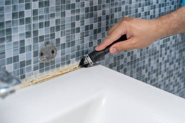 Trusted Clearwater, SC Mold Remediation Experts